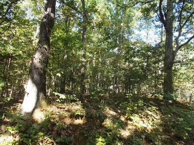 /international/us/bounty-ln-camden-tn-110120063392/