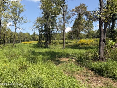 /international/us/2679-carl-newby-rd-falls-of-rough-ky-110110334500/
