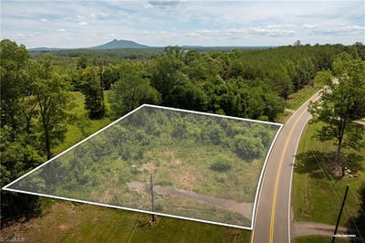 /international/us/309-ararat-longhill-road-pilot-mountain-nc-110108982879/