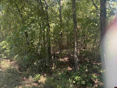 /international/us/760-07589-000-lynette-avenue-bull-shoals-ar-110119643596/