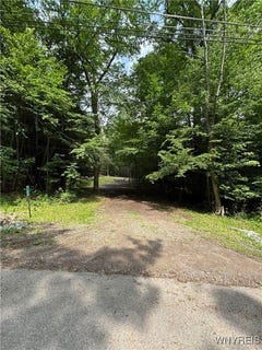 /international/us/11256-blanchard-road-holland-ny-110100421703/?lang=en
