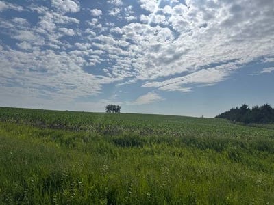 /international/us/424-ave-us-highway-12-bristol-sd-110101005981/