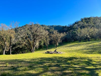 /international/us/22-arroyo-sequoia-carmel-in-110099380789/