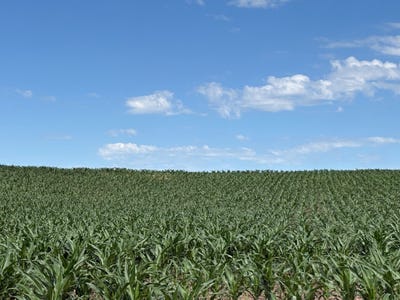/international/us/598-hwy-14-superior-ne-110109160083/