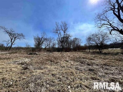 /international/us/4-lots-elm-drive-mill-creek-il-110091616052/
