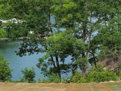 /international/us/1543-sipsey-overlook-road-double-springs-al-110107991751/