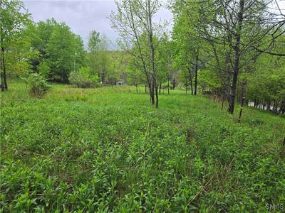 /international/us/mead-hollow-road-bolivar-ny-110099583956/?lang=zh-tw
