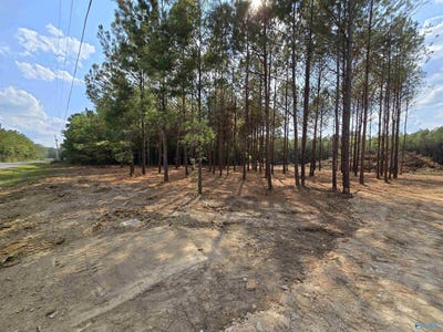 /international/us/5-88-acres-covington-avenue-se-attalla-al-110102496876/
