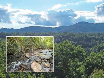 /international/us/lot-19-mt-springer-road-ellijay-ga-110109154414/