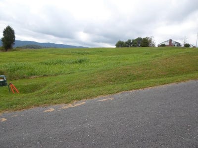 /international/us/lot-5-ridge-drive-lebanon-va-110094170980/?lang=zh-tw