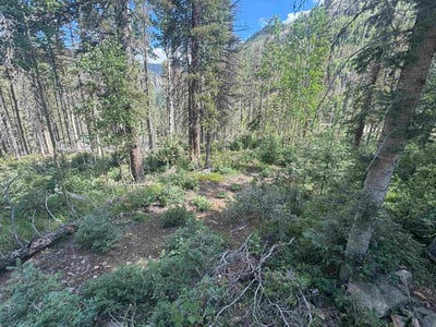 /international/us/2-lynx-drive-taos-ski-valley-nm-110119566155/