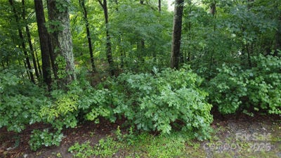 /international/us/-46-hemlock-trail-columbus-nc-110100188223/