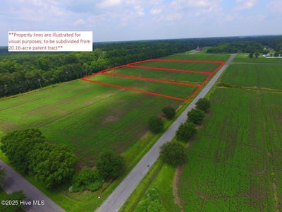 /international/us/traders-drive-south-mills-nc-110103291647/