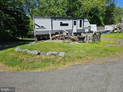 /international/us/160-159-comanche-eagle-claw-earleville-md-110100895137/?lang=en