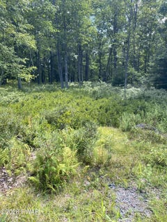 /international/us/woodlyn-acres-road-lot-38b-hawley-pa-110120531368/
