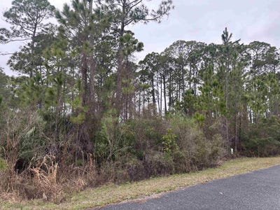 /international/us/wilderness-way-lot-42-panacea-fl-110097830566/