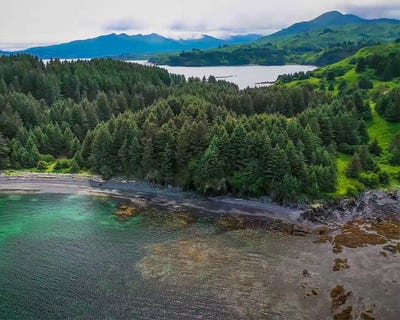 /international/us/6115-cliff-point-rd-kodiak-island-ak-110075825939/