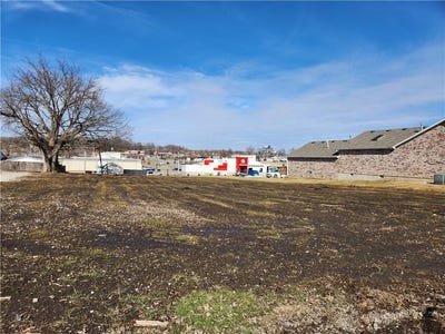 /international/us/205-w-otway-street-odessa-mo-110096758409/