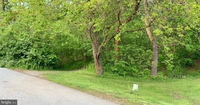 /international/us/rollin-ct-lot-3-4-5-6-8-9-williamsport-mi-110109583434/