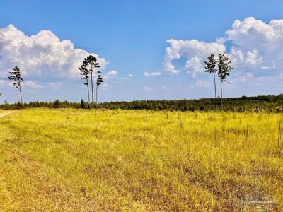 /international/us/morgans-branch-lot-23-molino-fl-110102661206/