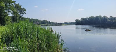 /international/us/lot-15-covington-lake-estates-covington-township-pa-110100315862/?lang=zh-cn