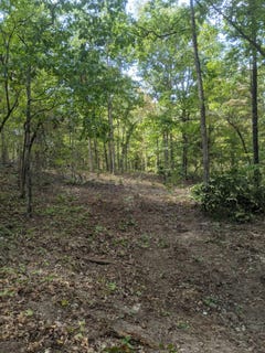 /international/us/county-road-330-dora-mo-110108023941/