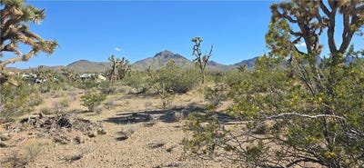 /international/us/327-03-461-s-quail-drive-dolan-springs-az-110119994477/