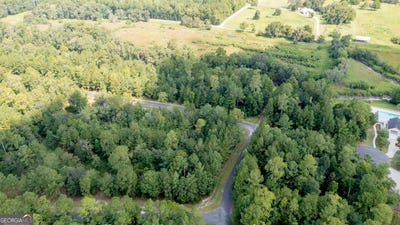 /international/us/lot-79-branch-creek-woodbine-ga-110098613815/