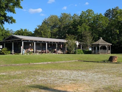 /international/us/14130-state-hwy-95-abbeville-al-110120037380/