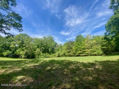 /international/us/moaks-creek-road-summit-ms-110107205634/