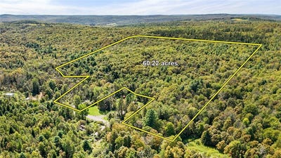 /international/us/541-blackman-hill-road-berkshire-ny-110108438140/