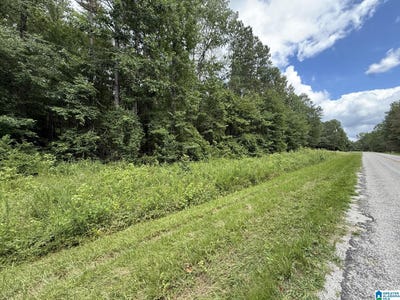 /international/us/tract-2-county-road-103-woodland-al-110100985198/