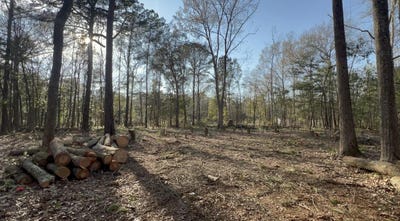 /international/us/sol-farm-road-johns-island-sc-110108205909/