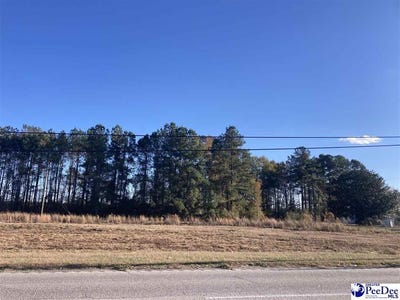 /international/us/2630-s-highway-301-dillon-sc-110105730105/