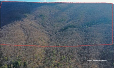 /international/us/0-church-mountain-ln-fulks-run-va-110097358008/
