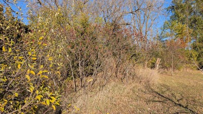 /international/us/l14-oak-road-markesan-wi-110103364443/
