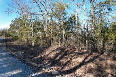 /international/us/county-road-904-theodosia-mo-110108469663/
