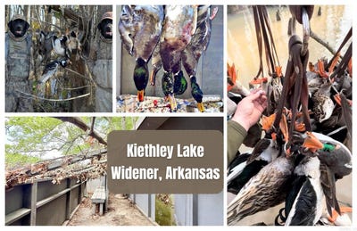 /international/us/sfc-431-road-widener-ar-110109297677/