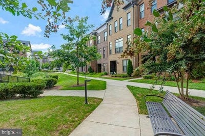 /international/us/12258-sessile-cmns-fairfax-va-110101913052/