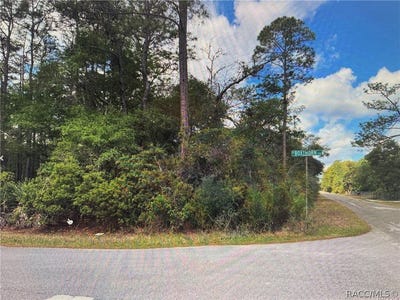 /international/us/9402-n-boxthorn-terrace-crystal-river-fl-110108843932/