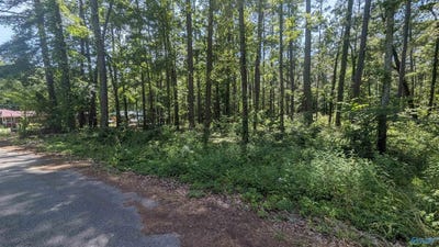 /international/us/1016-woodland-street-centre-al-110092280310/?lang=zh-tw