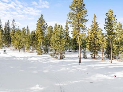 /international/us/lot-6-block-6-woodland-way-lead-sd-110096382876/
