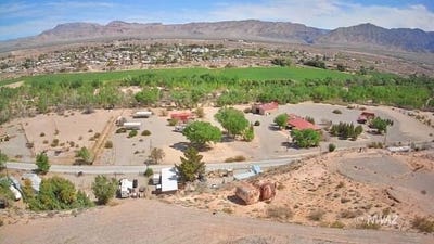 /international/us/cactus-littlefield-tx-110097609277/