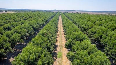 /international/us/county-road-216-san-saba-tx-110101894413/