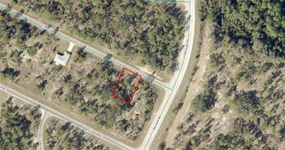 /international/us/tbd-malauka-drive-ocklawaha-fl-110106816253/