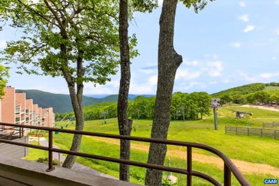 /international/us/347-dobie-condos-wintergreen-resort-va-110108540929/