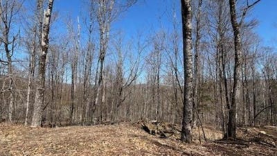 /international/us/1376-kingdom-road-plymouth-vt-110108998986/