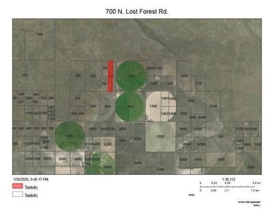 /international/us/n-lost-forest-rd-christmas-valley-or-110105106851/
