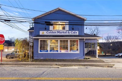 /international/us/8796-state-road-colden-ny-110103375363/