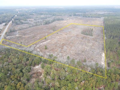/international/us/25-29-acres-hwy-87-samson-al-110104082384/